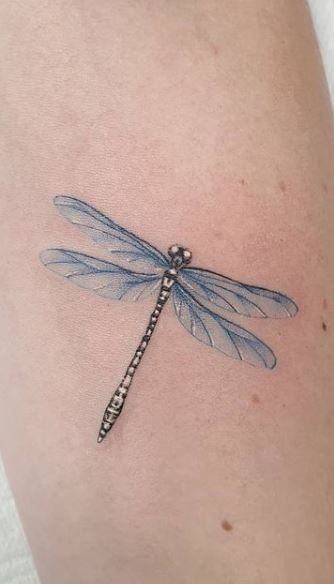 Dragonfly Tattoo Styles And Meaning Designs For Men And Women