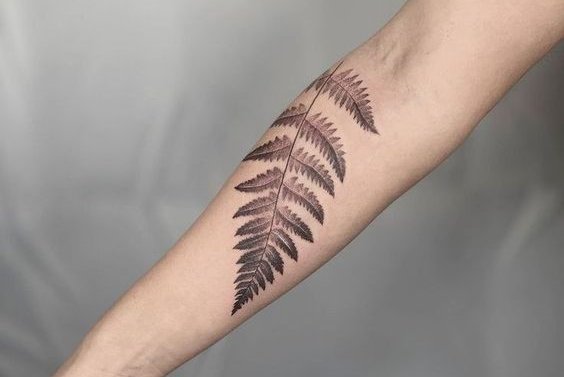 Bizzart Tattoo - Dainty Fern done on @lolakabola ❤️ Thanks  @mattblxck_official for being her secret santa 🥰 ❌Taking Bookings for  March/April❌ Done @bizzart_malta Artist: Maxine Gauci Sponsored by  @skin2skin_ink_recover @barber_dts ...
