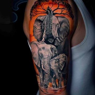 Elephant tattoo