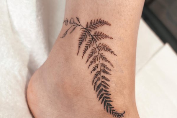 Instagram post by lindsayapril ☼ • Sep 12, 2017 at 7:22pm UTC | Single  needle tattoo, Fern tattoo, Tattoos