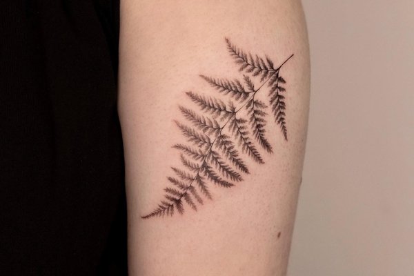 Floral Fern Minimalist Geometric Circle Temporary Tattoo Nature Leaves  Wrist Tattoo - Etsy Hong Kong