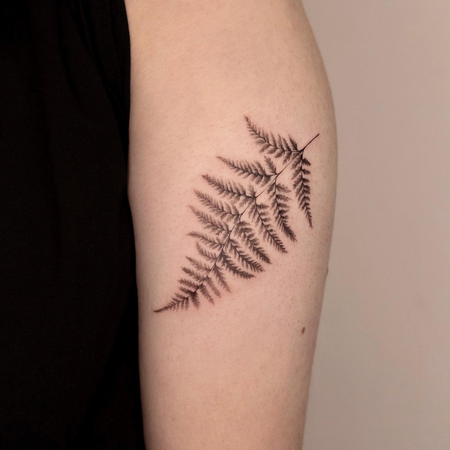 Dainty fern tattoo by @nique_bza email her vero.bisier@gmail.com for  inquiries and booking info #tattoo #tattoos #ferntattoo #niagaratatt... |  Instagram