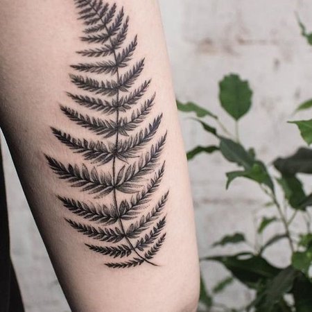 Tattoo uploaded by Linda Carlsson Schoeps • #Maori #Fern #Silverfern  #BeStrong #BeBrave #BeSteadfast • Tattoodo