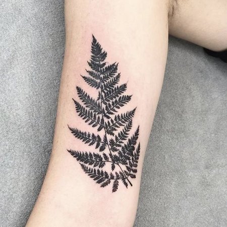 Faisal Al-lami 🌙 on Instagram: “Fern Leaf tattoo, micro realism by Faisal  Al-lami @tattoo.sal ——- #dallastattooartist #dallastattoos #art #drawing  #ink… | Tatuajes