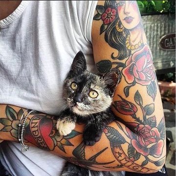 Traditional tattoo