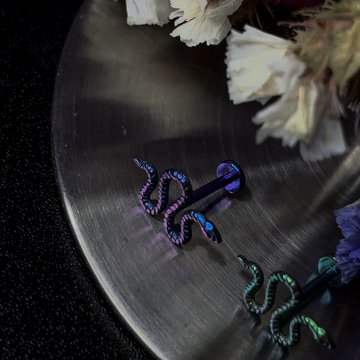 Anodized Piercing Jewelry