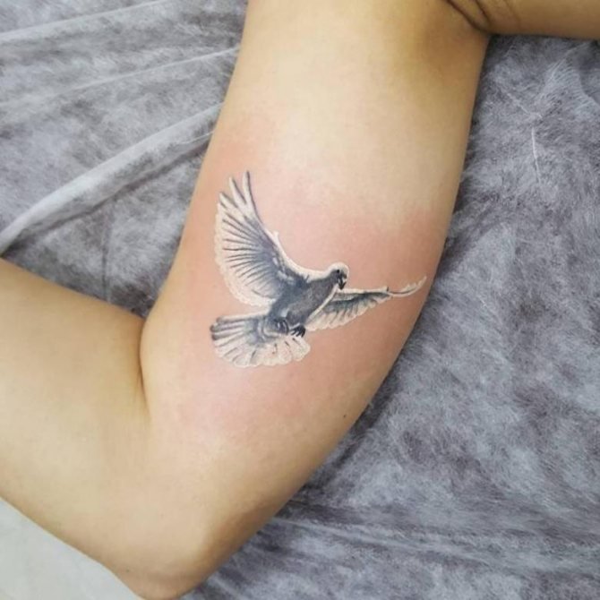 tattoo-journal.com/wp-content/uploads/2015/07/dove...