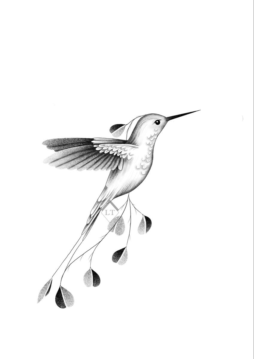 Hummingbird Tattoo png download - 452*700 - Free Transparent Hummingbird  png Download. - CleanPNG / KissPNG