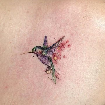 Small Minimalist Hummingbird Temporary Tattoo (Set of 3) – Small Tattoos