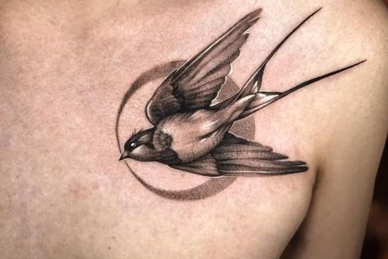 Tree swallow tattoo on the right thigh.