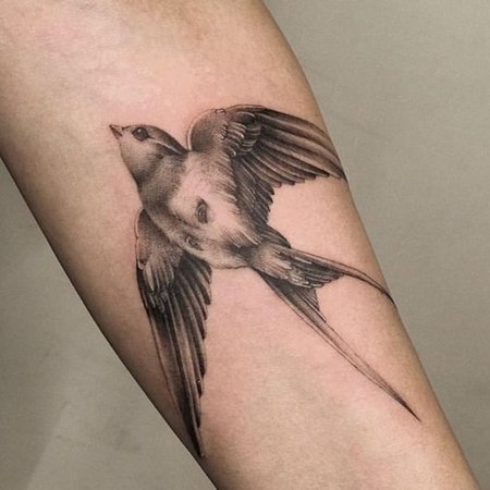 ✺ C I N Z A H ✺ | Really happy to get to tattoo this sparrow for Joe.  Loving tattooing birds at the moment, if you have any requests feel free to  get at me... | Instagram