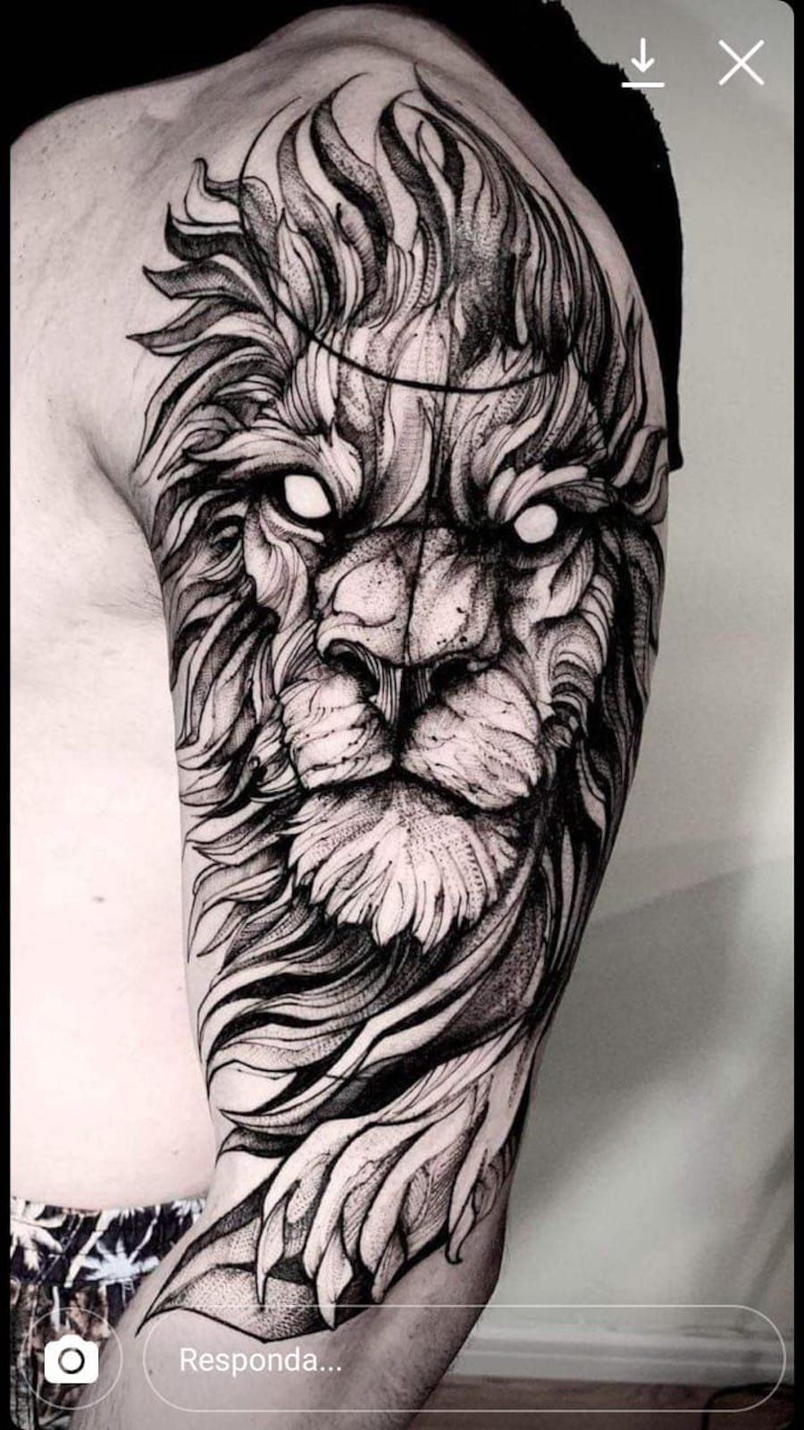 lion with tiger tattoo | Tiger tattoo, Tattoos, Tattoo artists