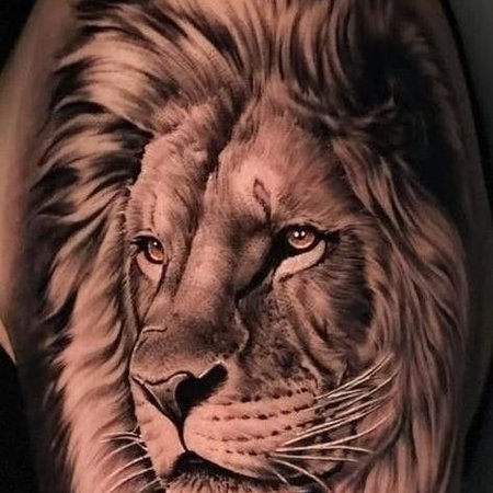 23+ Designs of Lion tattoo for men and women - VeAn Tattoo