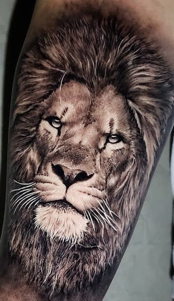 Lion Head Tattoo Designs - TheWildLifeJewelry-cheohanoi.vn