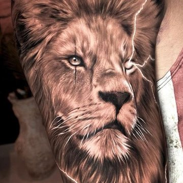 A design for his lower arm, He want a detailed lion and a rose design | Lion  head tattoos, Lion forearm tattoos, Lion shoulder tattoo