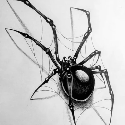 Spider tattoo - VeAn Tattoo