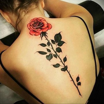 rose tattoo design