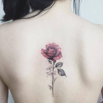 rose tattoo design