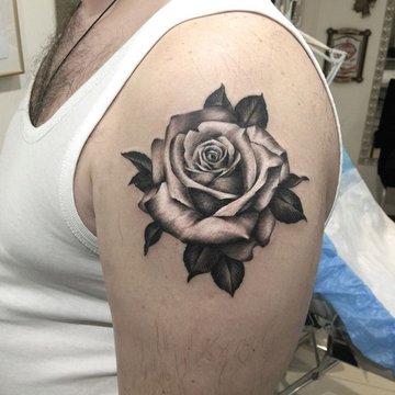 rose tattoo design